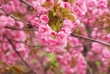 徐州鼓楼区线下个人借款平台一站式服务，轻松解决资金难题