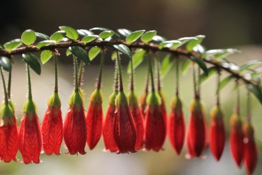 徐州鼓楼区零用贷短借：轻松解决临时资金需求