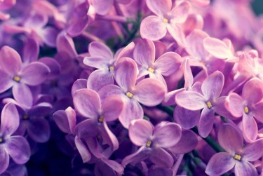 徐州鼓楼区企业急用钱贷款攻略：快速融资解燃眉之急